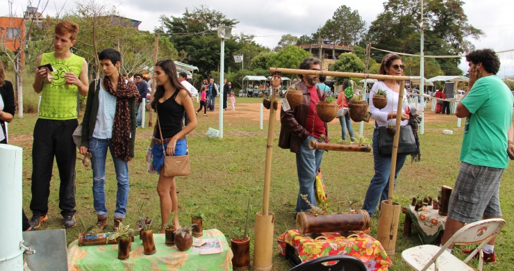 Novas atrações marcam sétima edição da Feira Agroecológica da Violeira