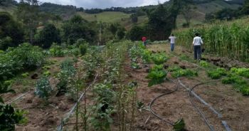 Rede Raízes da Mata conquista reconhecimento de produção orgânica pelo Ministério da Agricultura