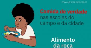 Pesquisa analisará a importância de alimentos da agricultura familiar na merenda escolar