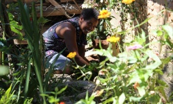 Saúde é o maior benefício da Agroecologia