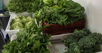 Agricultores da região de Viçosa organizam entrega de alimentos em domicílio