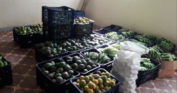 Cooperativa da Agricultura Familiar Solidária de Acaiaca (MG) entrega 371 kits de alimentos agroecológicos
