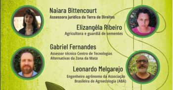 Contaminação de sementes crioulas e impactos para agricultores e consumidores é tema de debate online