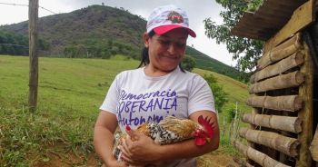 Pesquisa-ação mostra o potencial das mulheres agricultoras na defesa da agroecologia!