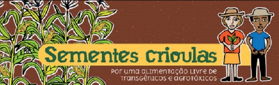 Sementes Crioulas: por uma alimentação livre de transgênicos e agrotóxicos
