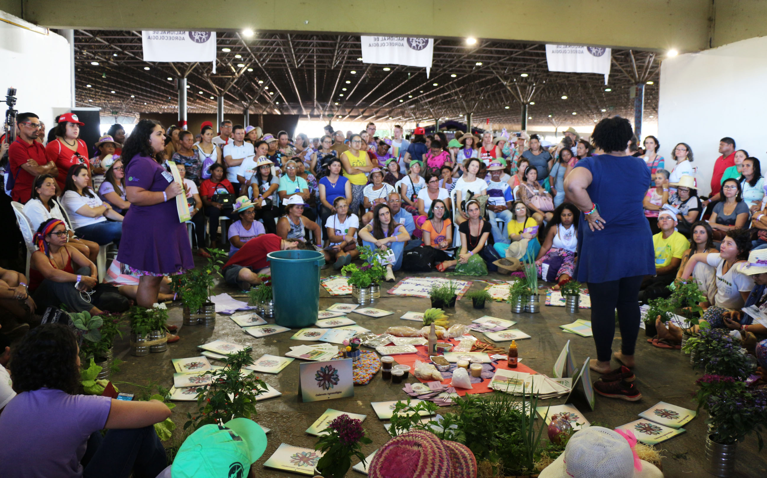 Foto: Wanessa Marinho.