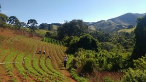 Entre as a&ccedil;&otilde;es est&aacute; prevista a capacita&ccedil;&atilde;o em manejo e constru&ccedil;&atilde;o de estrat&eacute;gias e pol&iacute;ticas p&uacute;blicas para produ&ccedil;&atilde;o, conserva&ccedil;&atilde;o, melhoramento e difus&atilde;o da biodiversidade agroecol&oacute;gica. (Foto: Divulga&ccedil;&atilde;o)